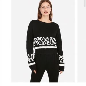 Express Animal Sweater